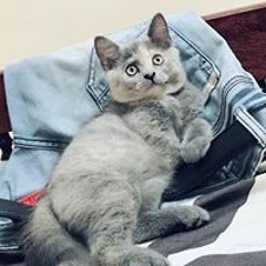My Playlist #3