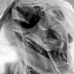 Espíritu Electrificado