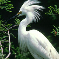 『MvL』•Ҟモれ乙Ö࿐ 『MvL』•Ҟモれ乙Ö࿐