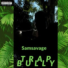 Officialsamsavage522