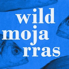 Wild Mojarras