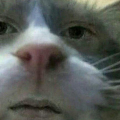 Dát Böi