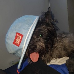 Classic_ernest