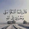 khaled Alaa