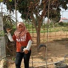 dina