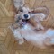 justyna2515