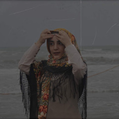 maryam talebi