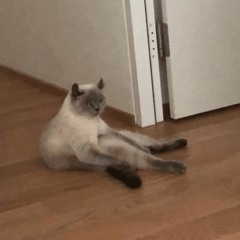 LazloBaby