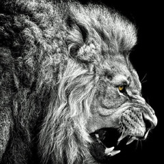 León Mextli