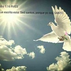musica