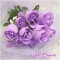ساره أحمدمحمد