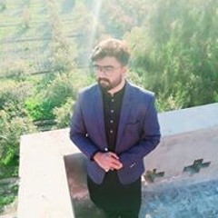 zaib ali