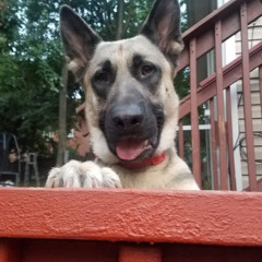 Hillary Reyes Rubio 2026