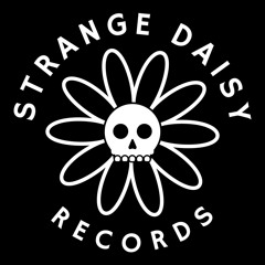 STRANGE DAISY RECORDS