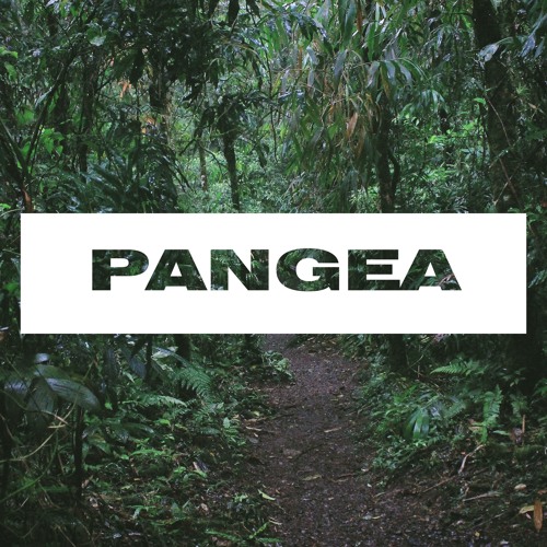 Pangea S Stream Pangea S Stream