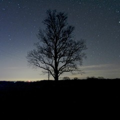 Edgar Henderson(formerly - Not:Ed)