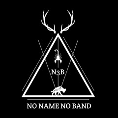 N3B