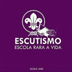 Paype Scout