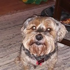 Marta Donlon Parsons