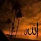Tarek Elsharkasy