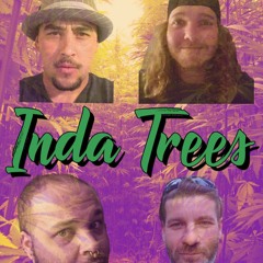 Inda Trees