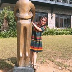Hoa Phanquynh