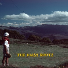 The Daisy Roots
