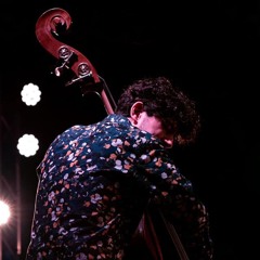 Aldo Capasso Bass Player