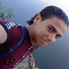 محمد النمر
