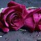 Samah Abozeid