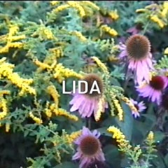 LIDA