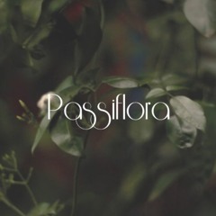 Passiflora