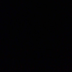 damienmcd6