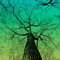 Los Cuentos de la Buena Pipa