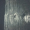User 805020502