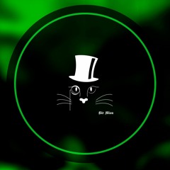Sir Miau