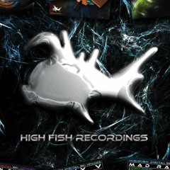 Cross & Spinout - Volume 10 - Highfish Recordings - 2002