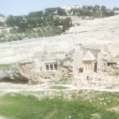 yuval sibony