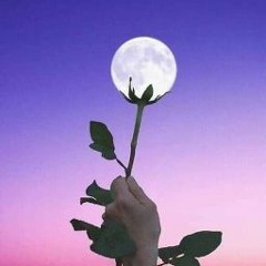 رحاب جديده