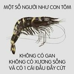 Nam Lê