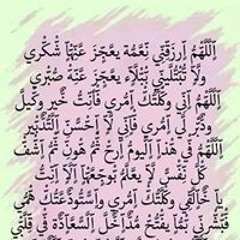 شهد هاشم سعيد