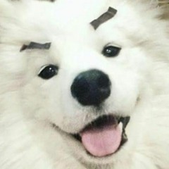 BigPotato