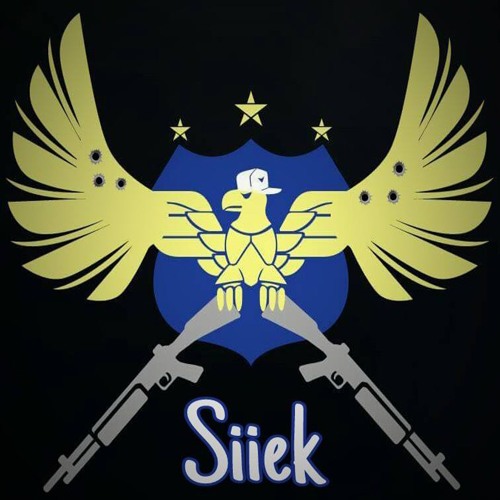 Siiek’s avatar