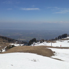 Arunas Pitrenas