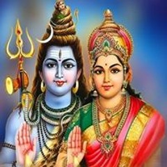 शिवानी सदावर्ती