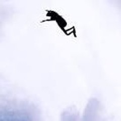 (Comitiva Espartano) Comandante Moreno CDG   El Flako Frontera Exclusiva.mp3