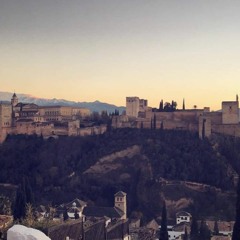 Aya Harasees