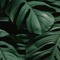 olivine__
