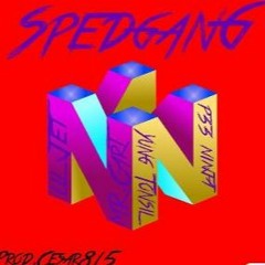 SPEDGANG