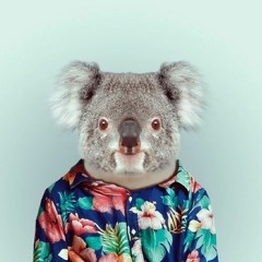 LCTanguy